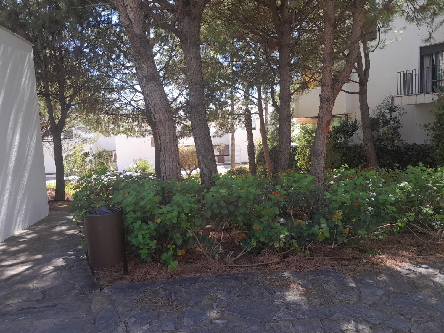  à vendre appartement Campo-Mijas Costa Del Sol Occidental 6