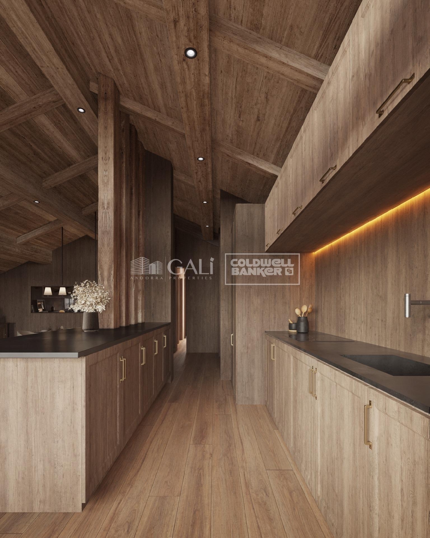  à vendre appartement Canillo Canillo 3