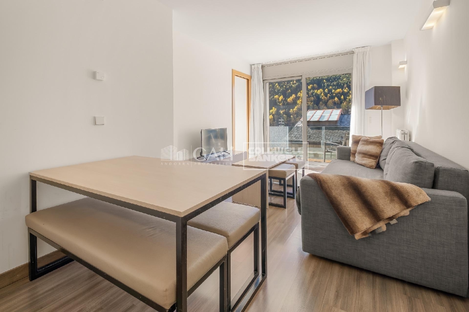  à vendre appartement Canillo Canillo 2