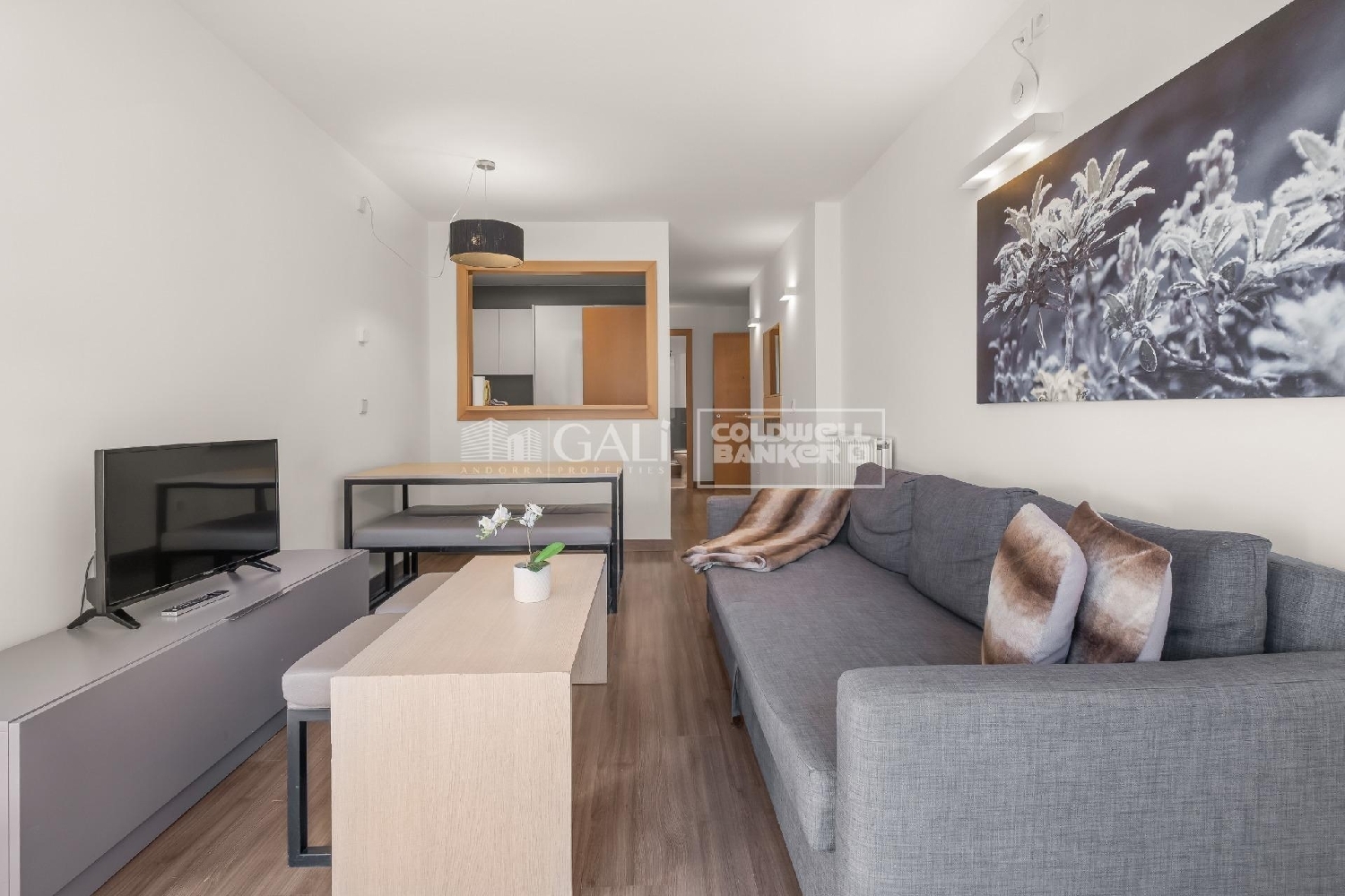  à vendre appartement Canillo Canillo 3