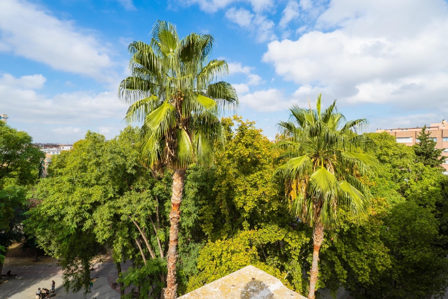  en venta apartamento Castrillo De Murcia Odra-Pisuerga 3