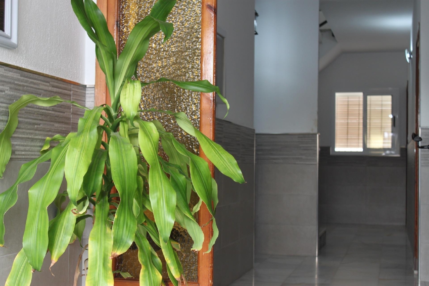 for sale apartment Chipiona Costa Noroeste 3