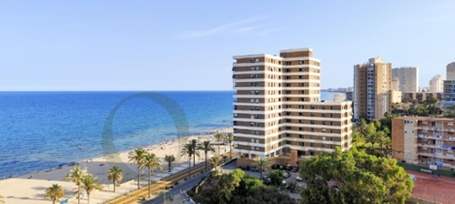 El Campello Alacantí appartement foto 6309107