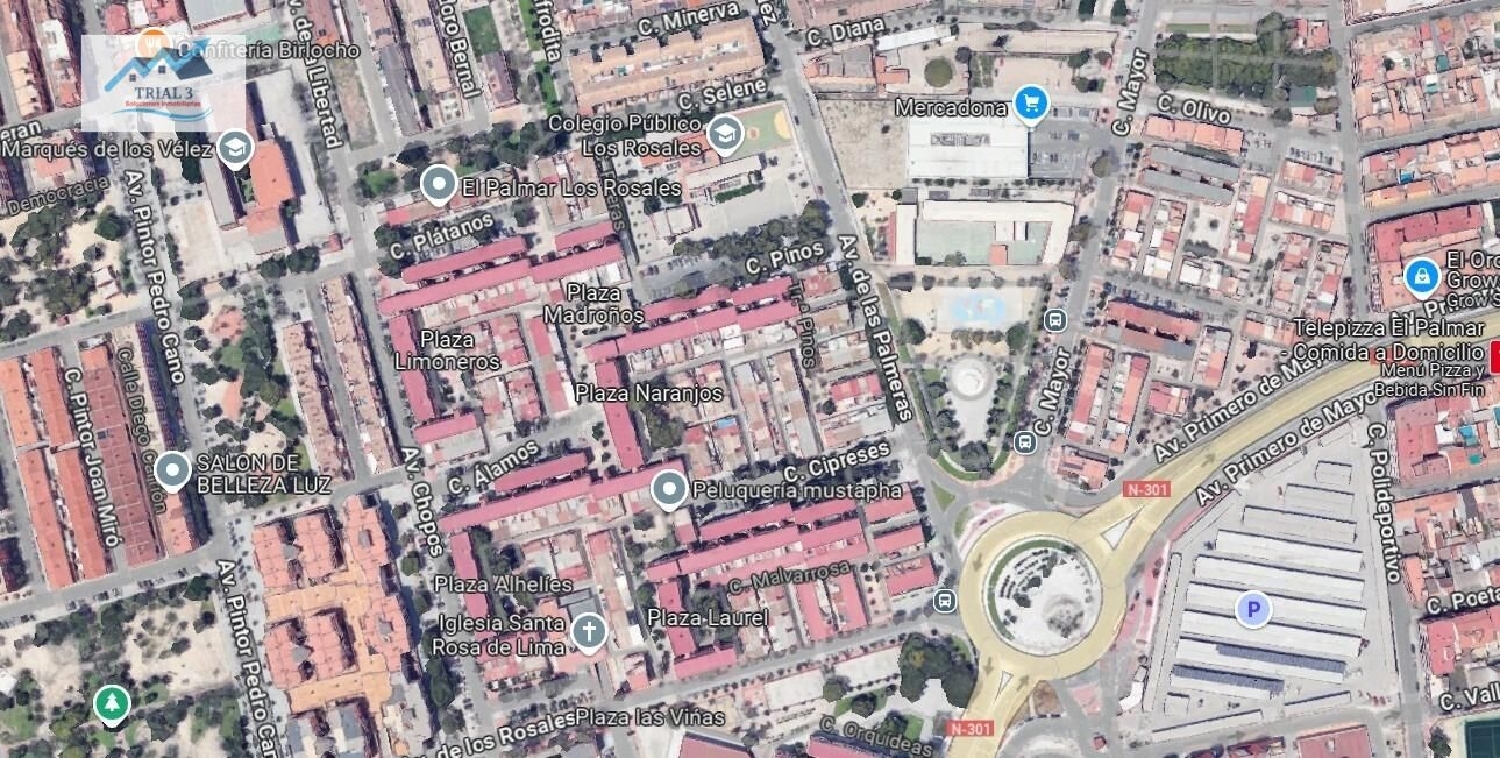 kaufen Wohnung El Palmar Janda (La) 3