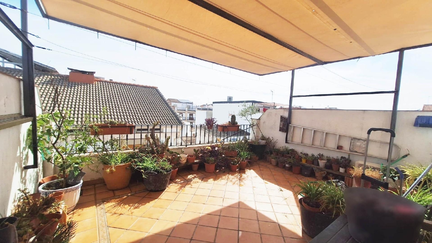 à vendre appartement Fernandelo Betanzos 1