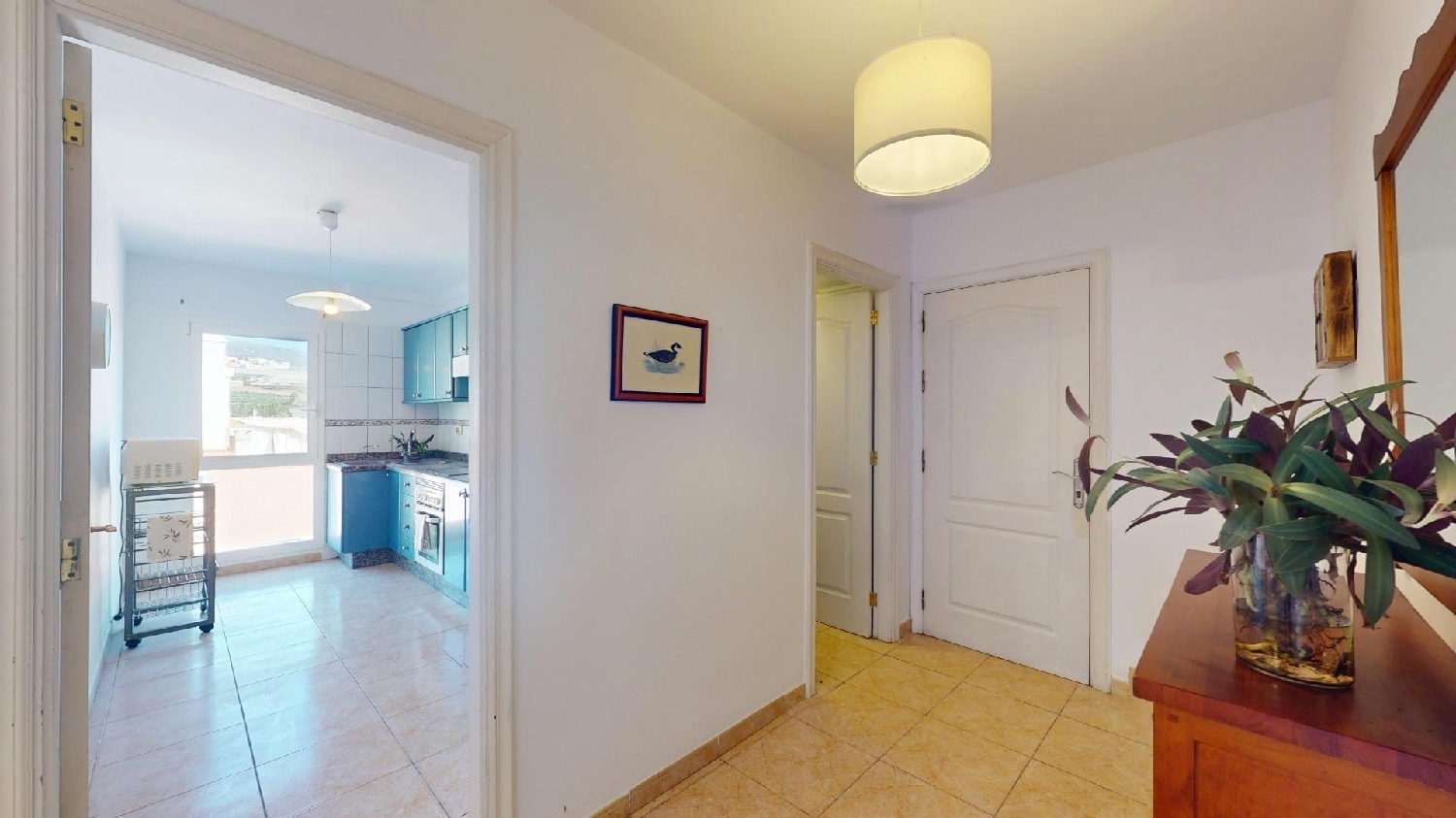  à vendre appartement Guía De Isora Zona Suroeste 8