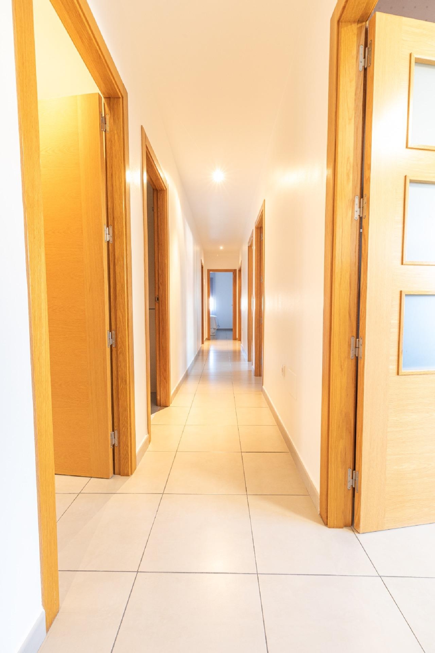 à vendre appartement Hoya Del Campo Vega Alta Del Segura 5