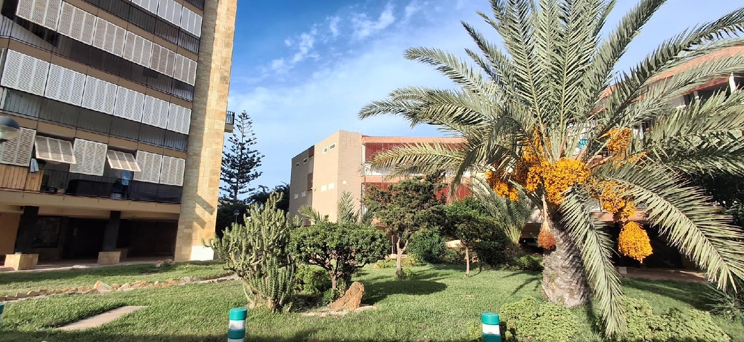 à vendre appartement La Manga Del Mar Menor Campo De Cartagena 3