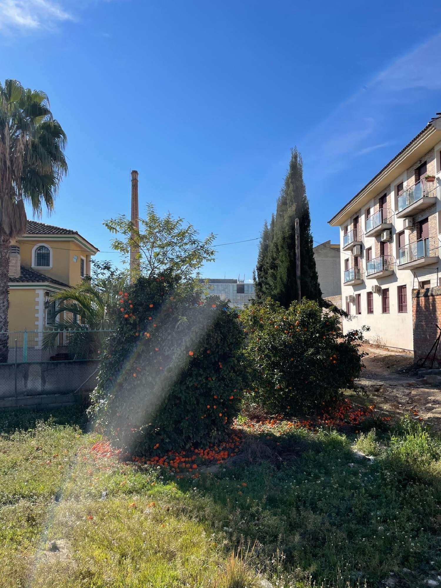 en venta apartamento Las Torres De Cotillas Vega Media Del Segura 3