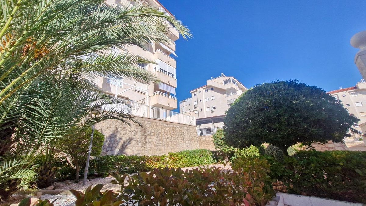  kaufen Wohnung Los Arenales Del Sol Baix Vinalopó 4