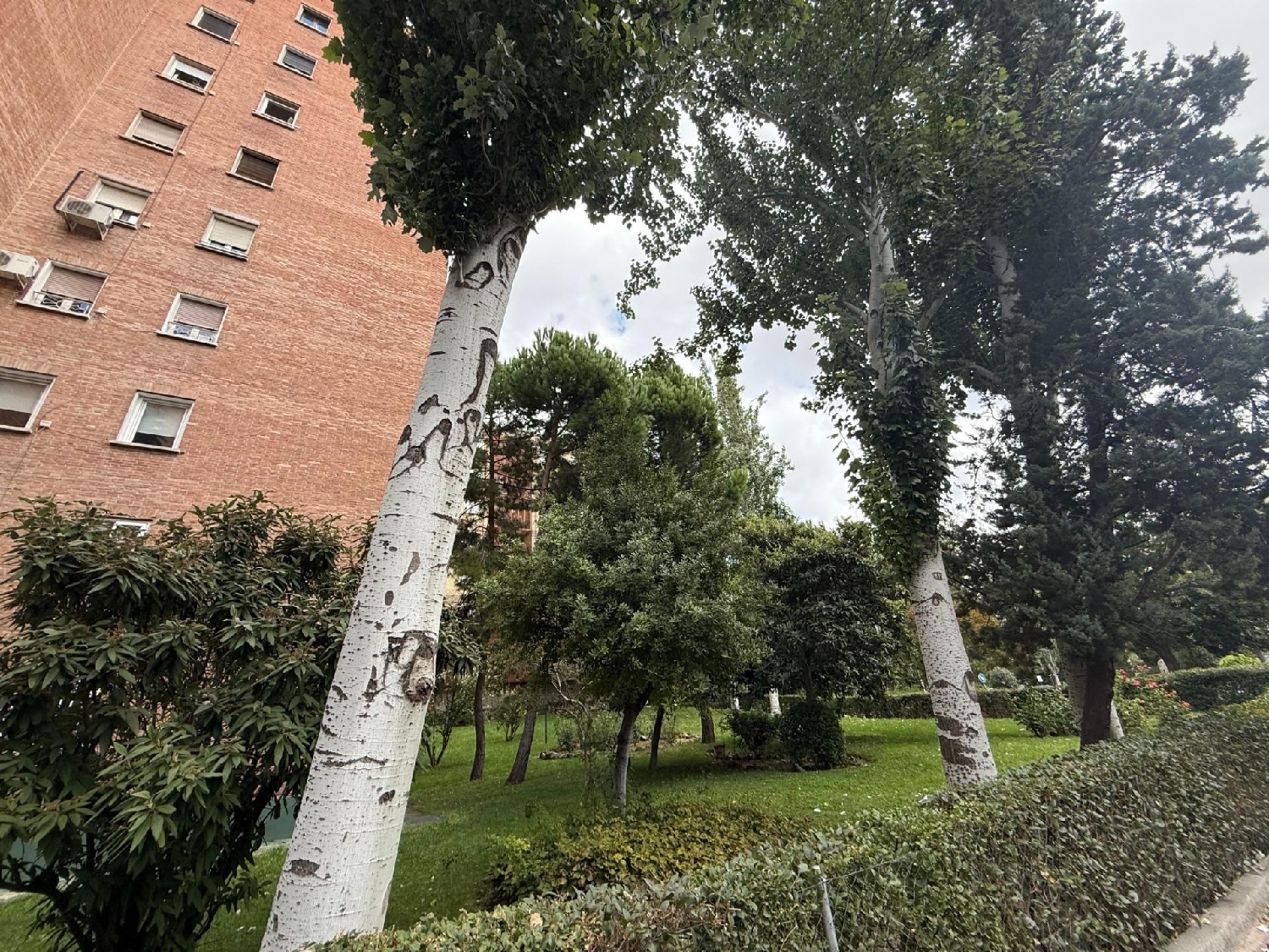  kaufen Wohnung Madrid Valle Del Almanzora 2