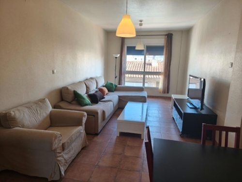 Molina De Segura Vega Media Del Segura apartment foto 6315233
