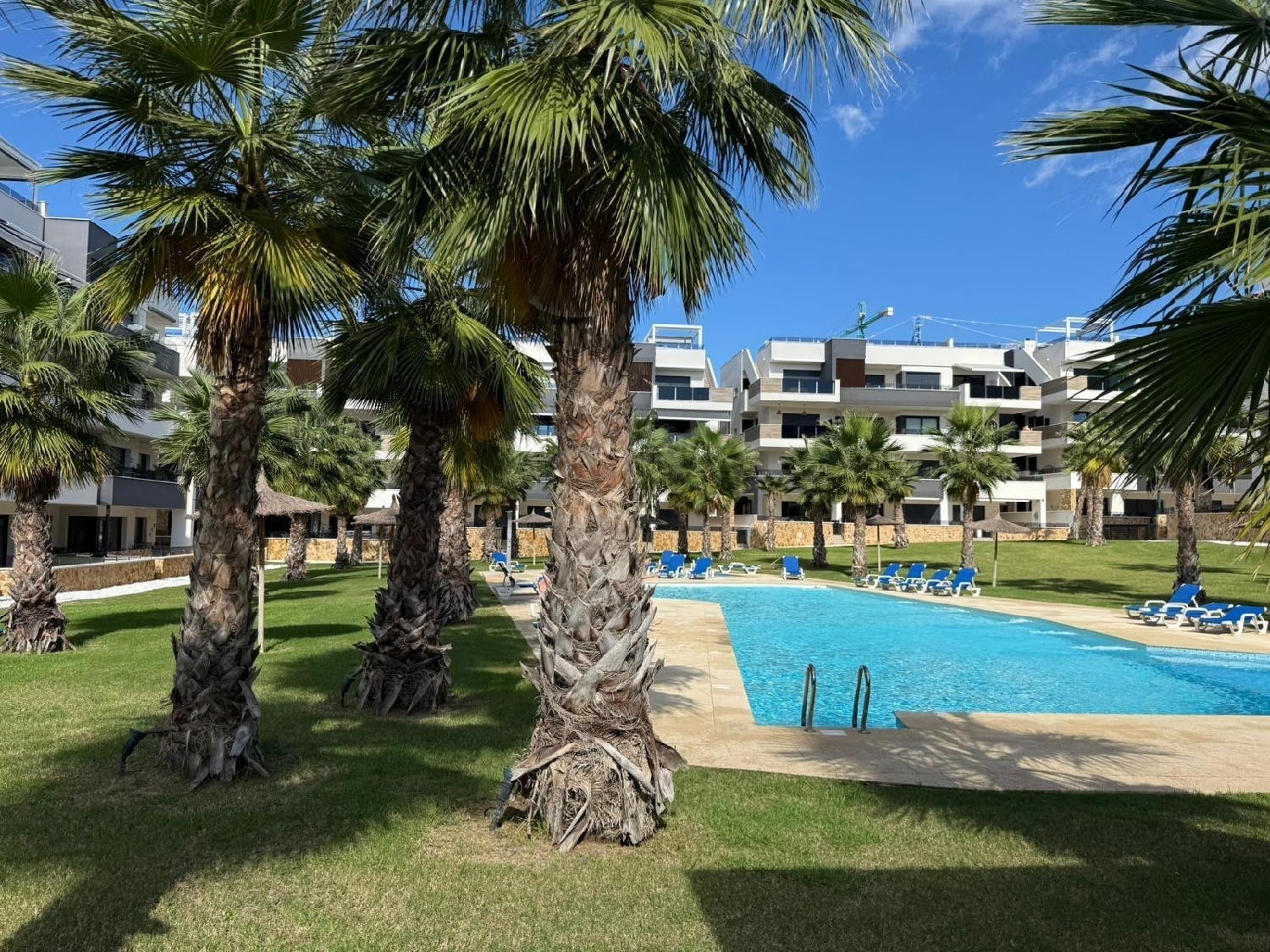 à vendre appartement Orihuela Costa Baix Segura 5