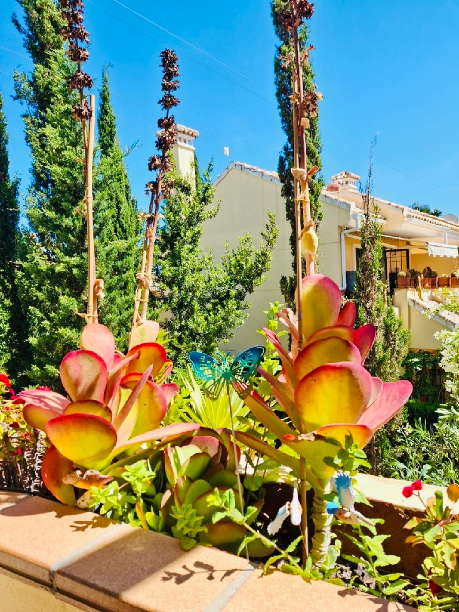  for sale apartment Orihuela Costa Baix Segura 2