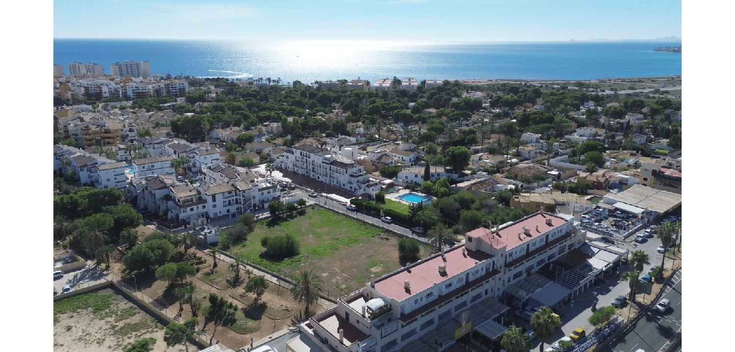  à vendre appartement Orihuela Costa Baix Segura 1