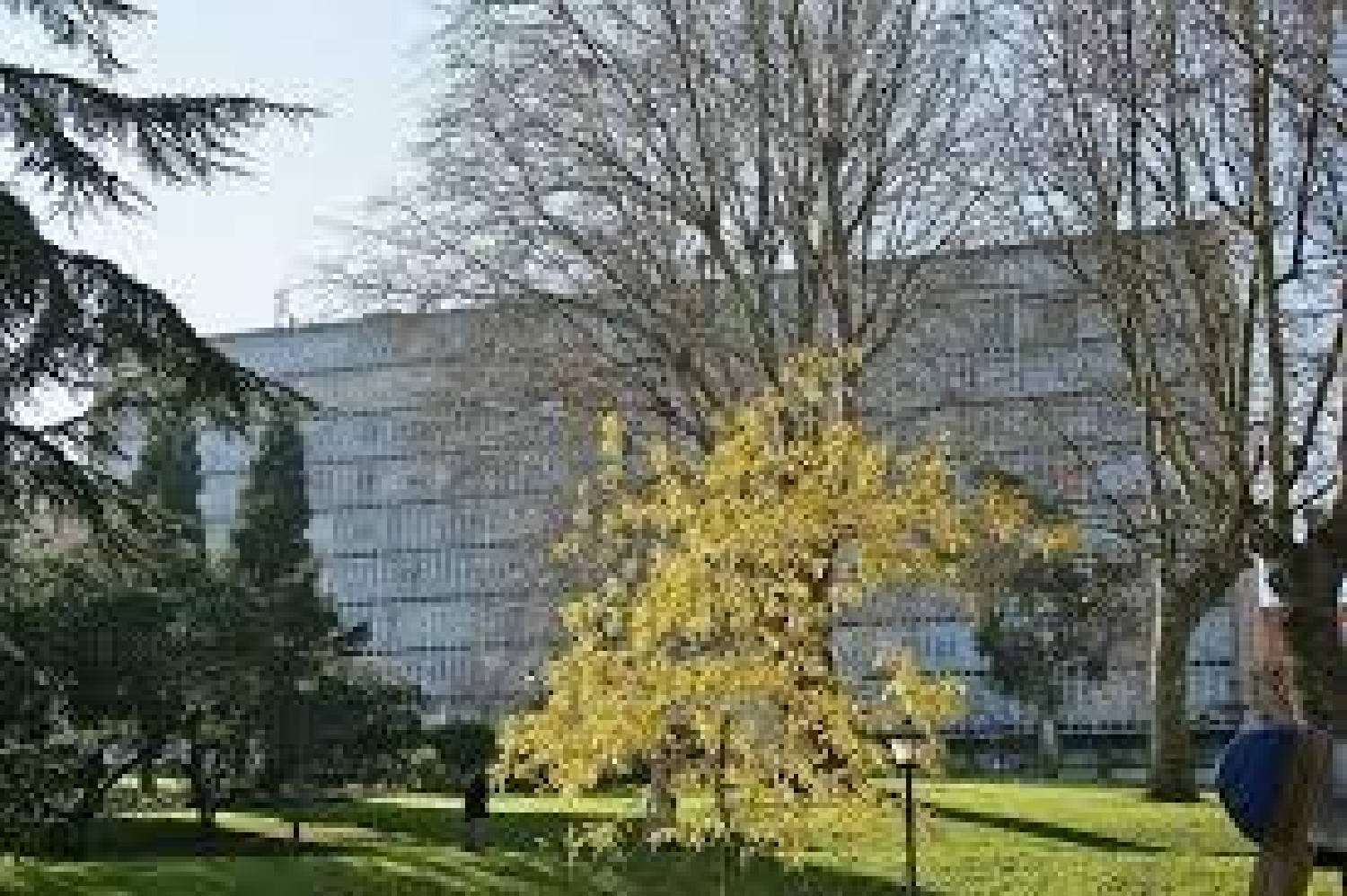  te koop appartement Oviedo Centro 33009 Oviedo 5