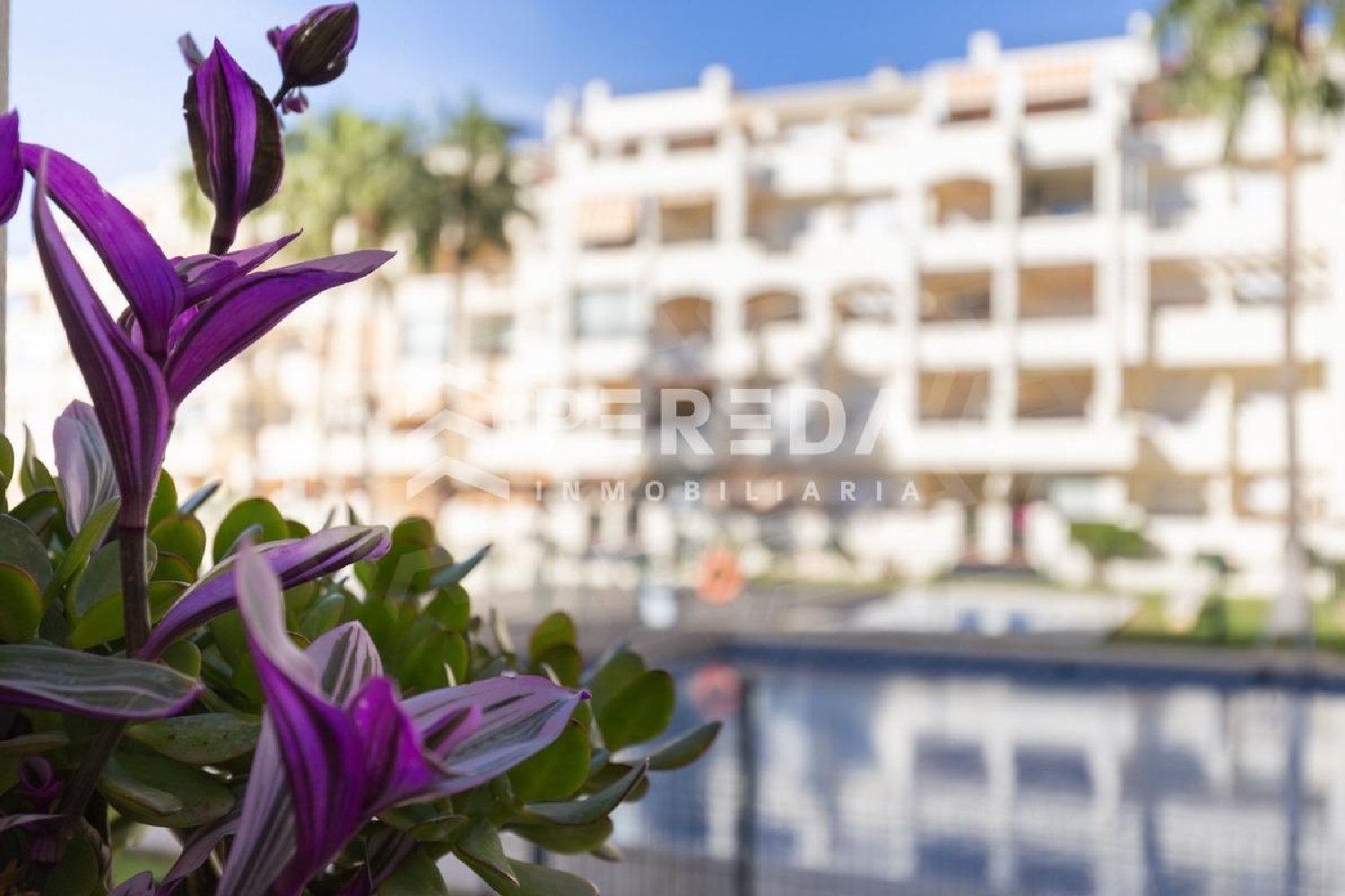  en venta apartamento Roquetas De Mar Poniente Almeriense 4