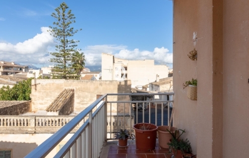 Sa Pobla Nord Wohnung Bild 6307049