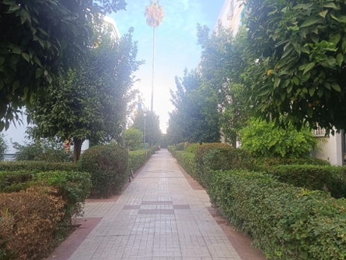 Sevilla La Nueva Sur lägenhet foto 6315065