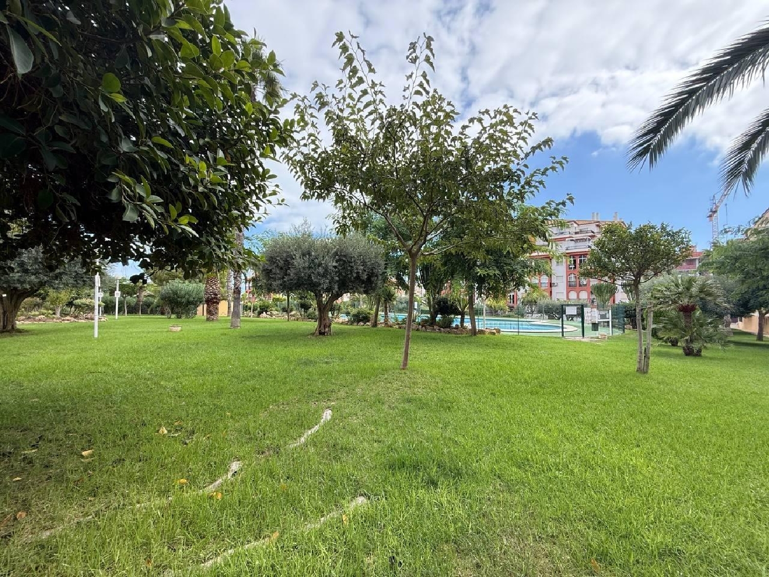  for sale apartment Torrevieja Baix Segura 5