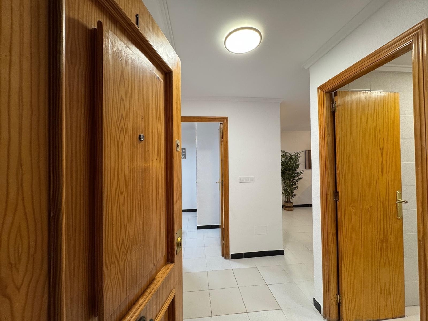 till salu lägenhet Torrevieja Baix Segura 2
