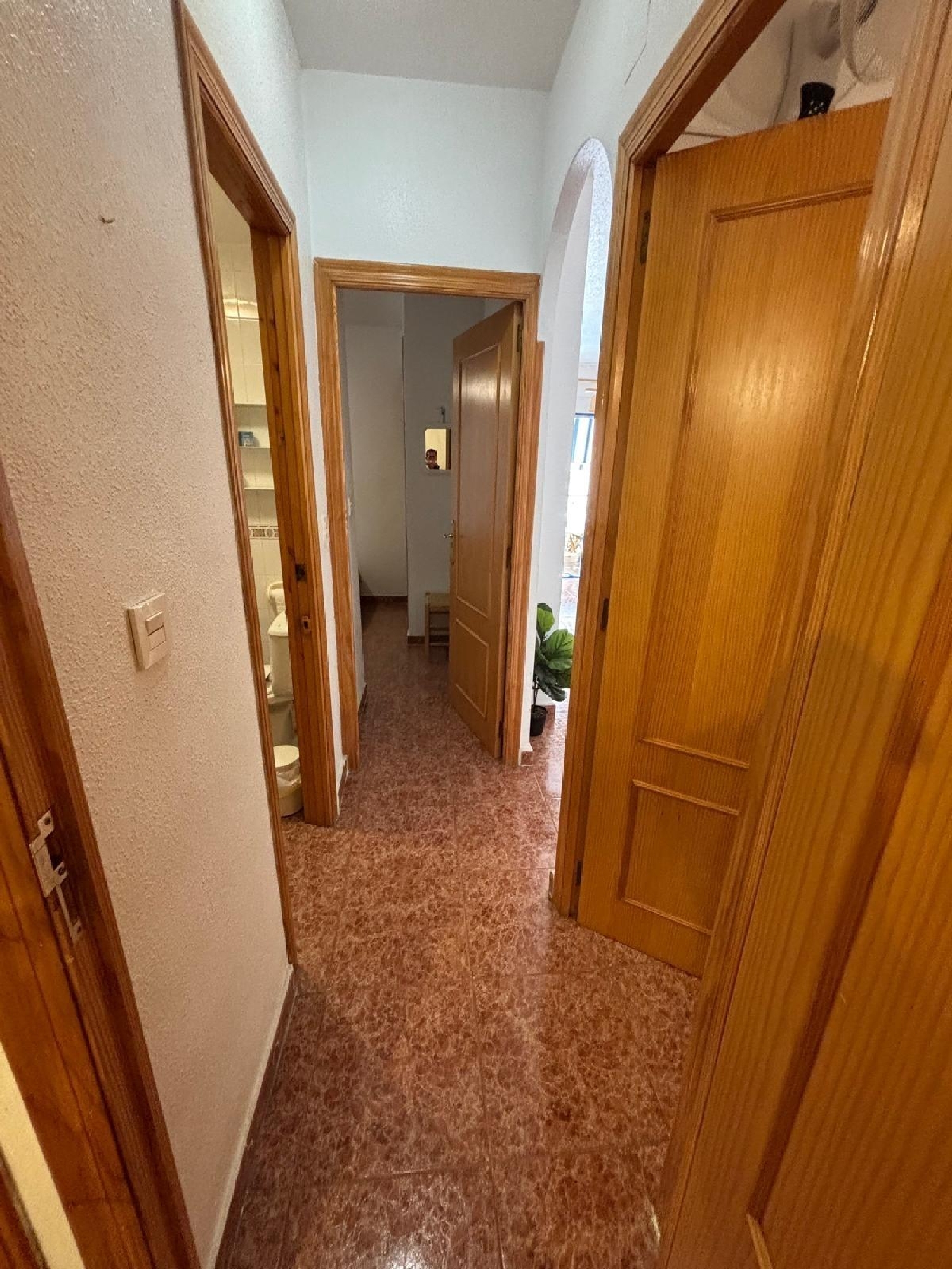  en venta apartamento Torrevieja Baix Segura 5