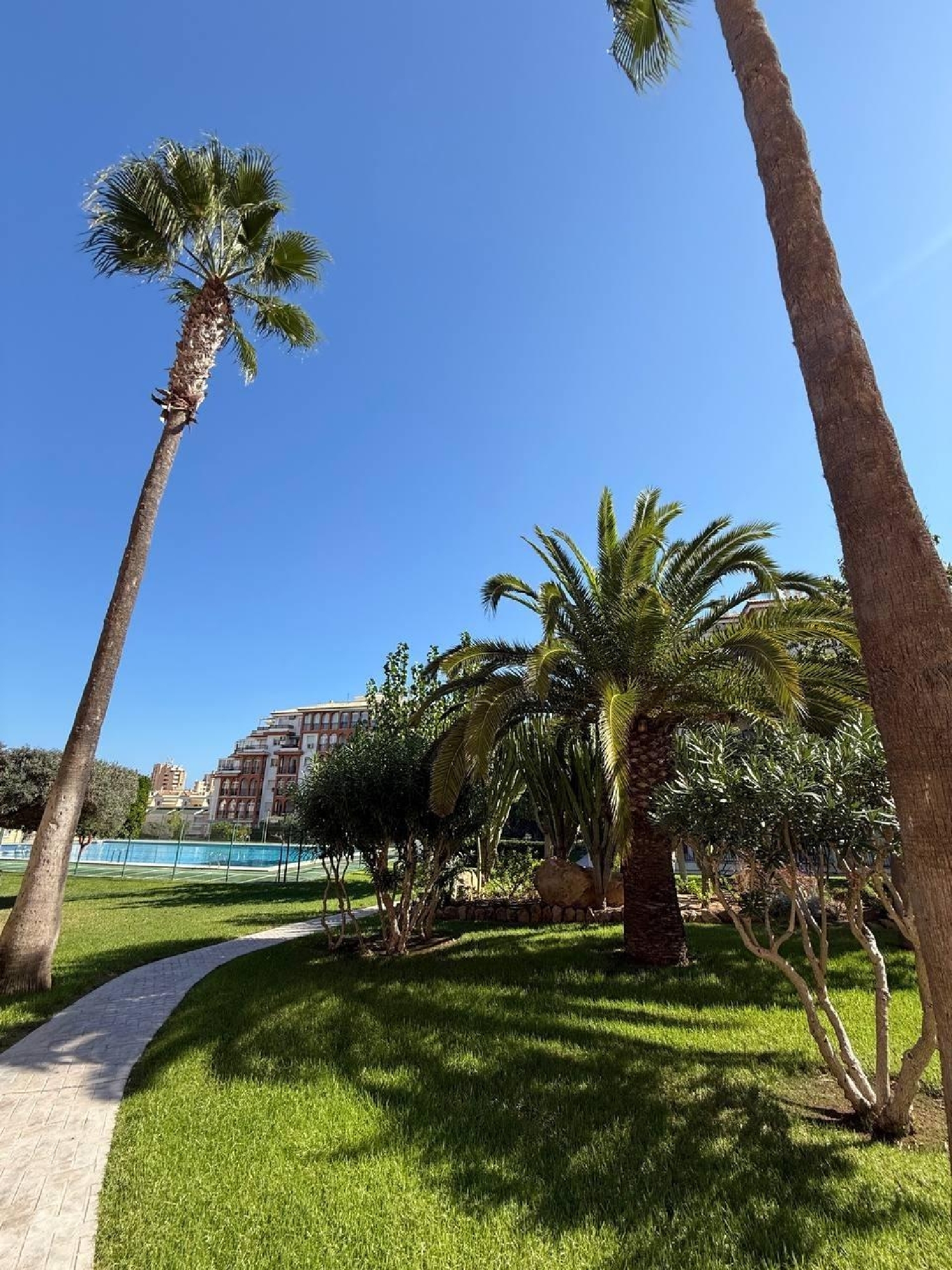  for sale apartment Torrevieja Baix Segura 8