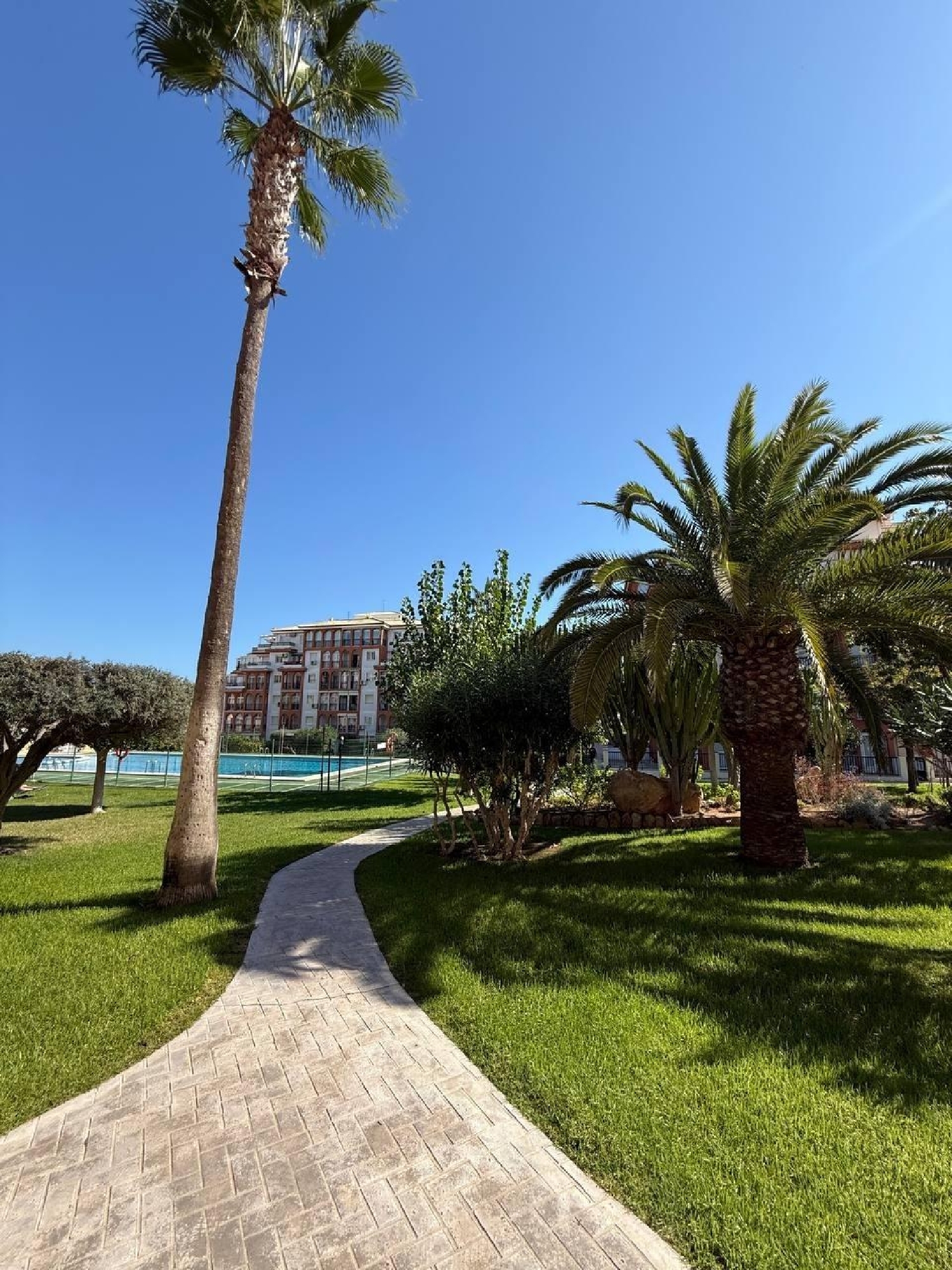 for sale apartment Torrevieja Baix Segura 7