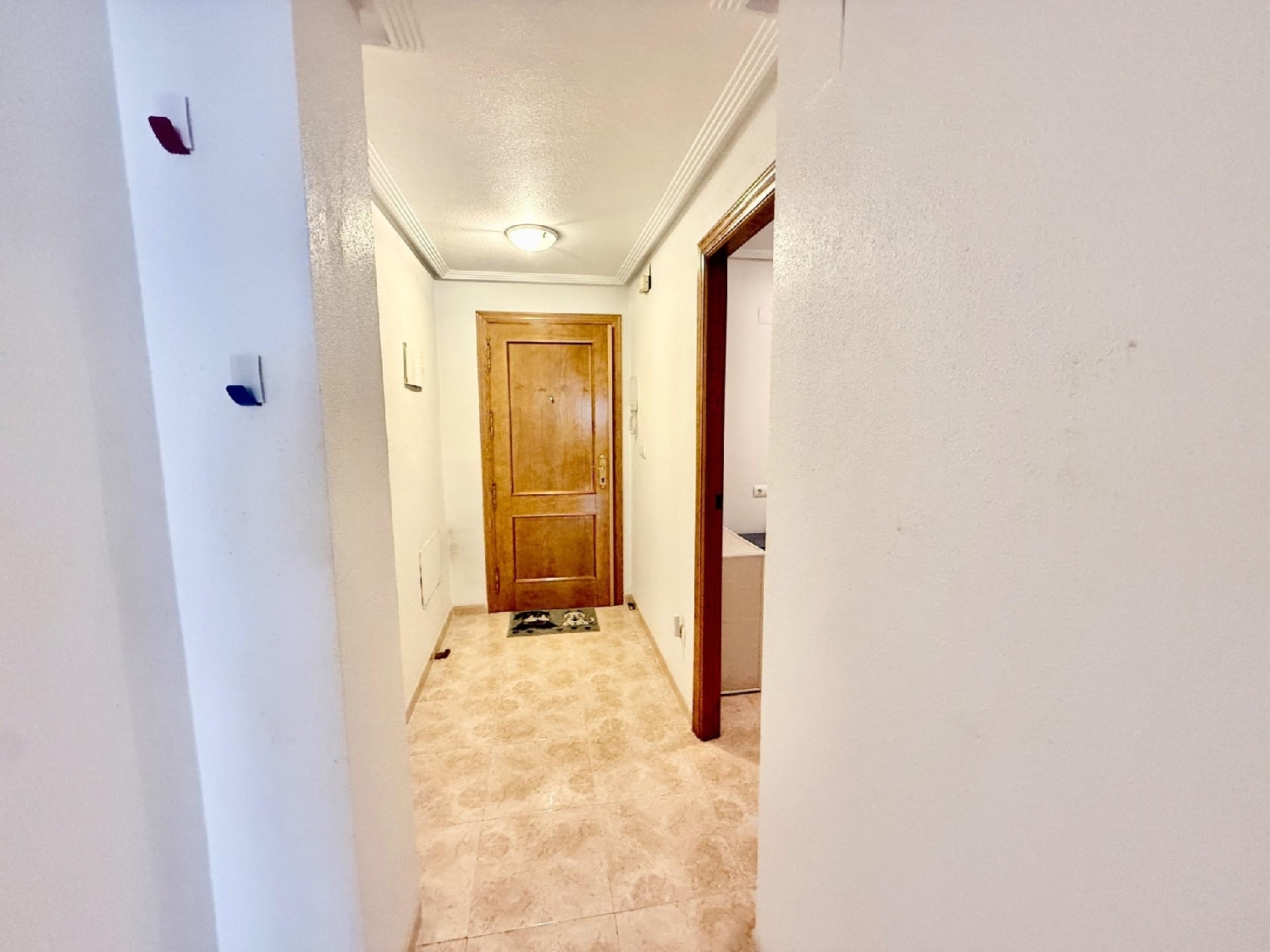 kaufen Wohnung Torrevieja Baix Segura 6