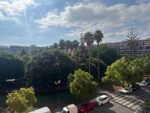 Torrevieja Baix Segura Wohnung Bild 6309784