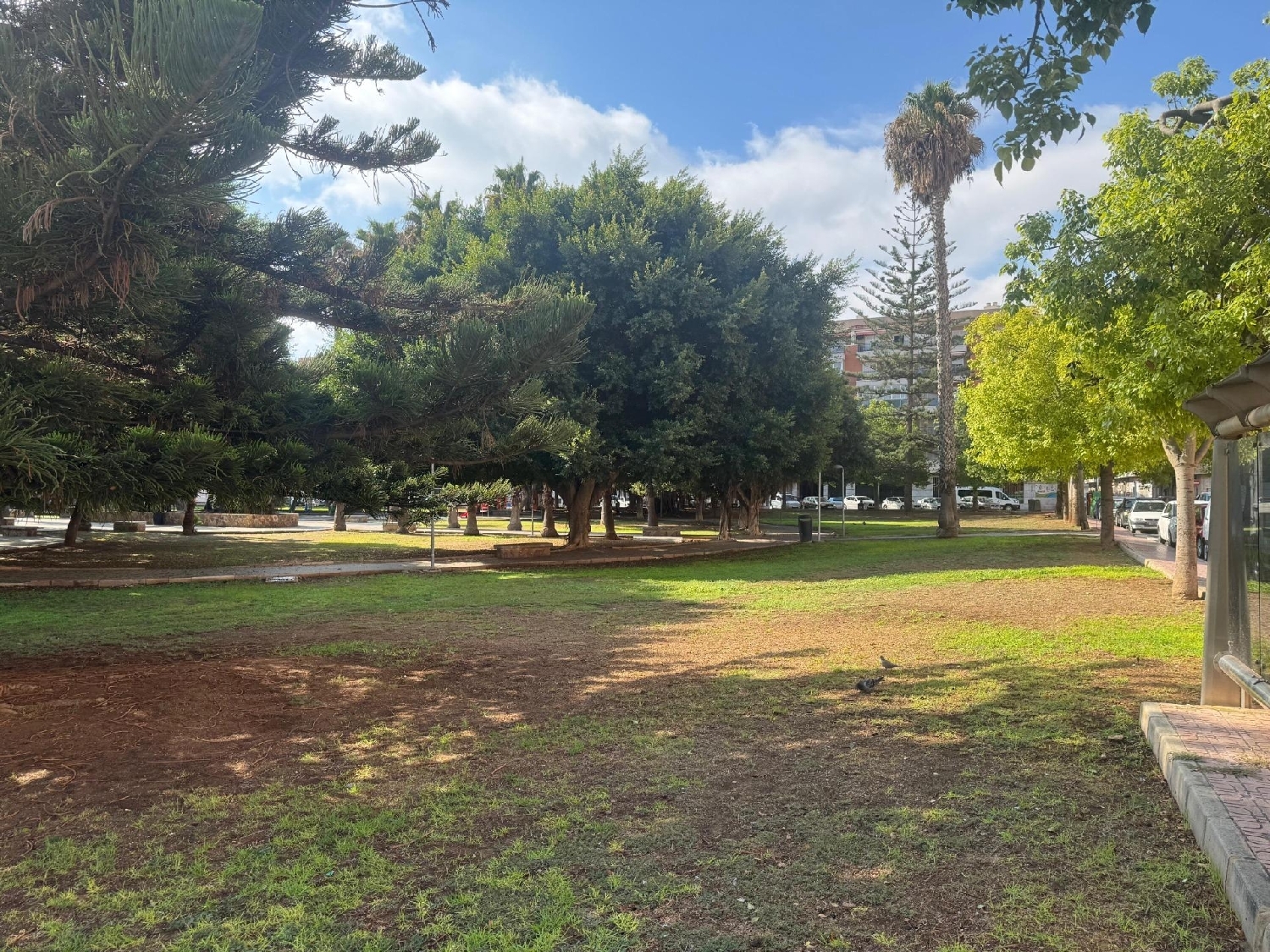 kaufen Wohnung Torrevieja Baix Segura 21