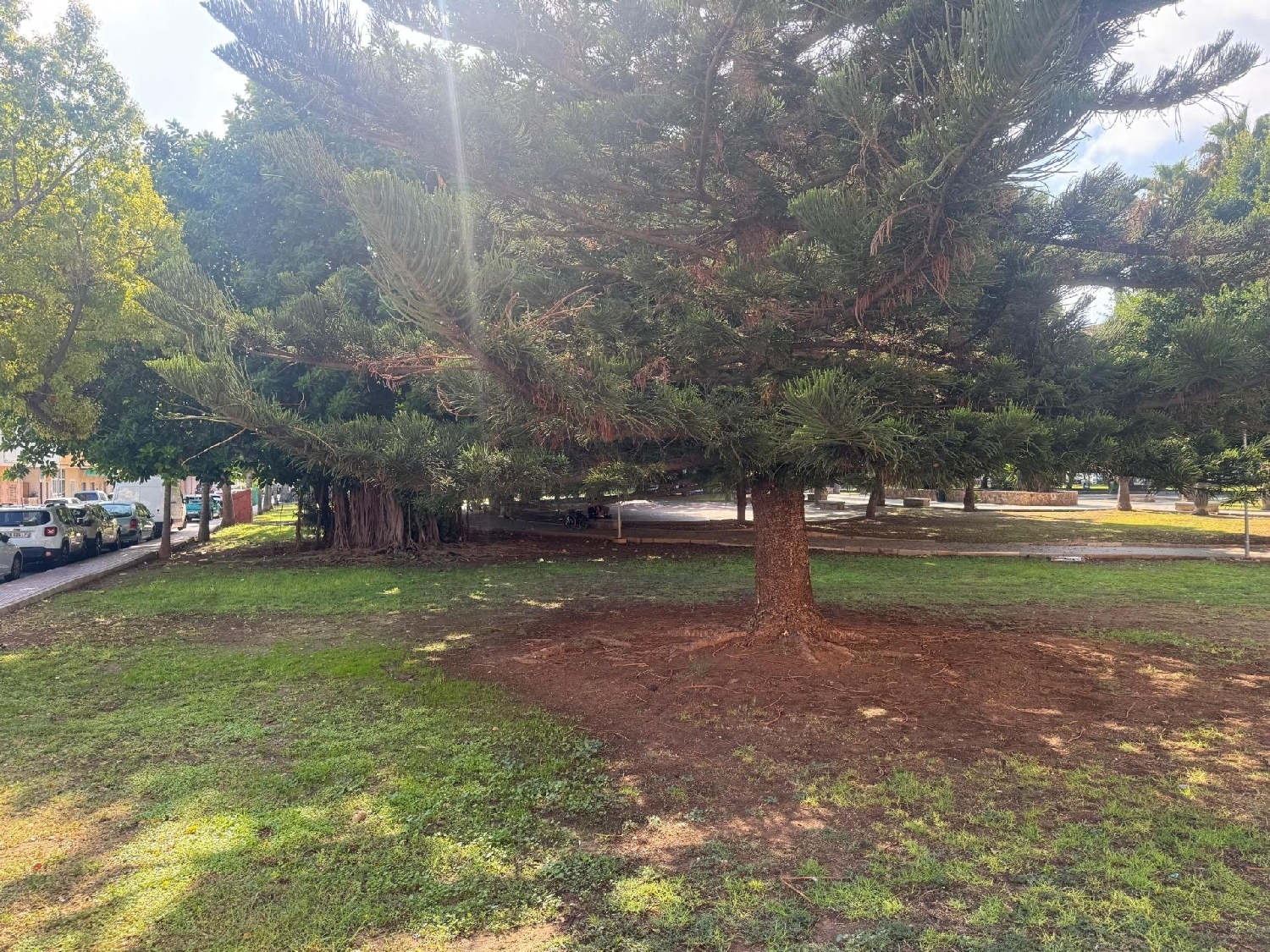  kaufen Wohnung Torrevieja Baix Segura 20
