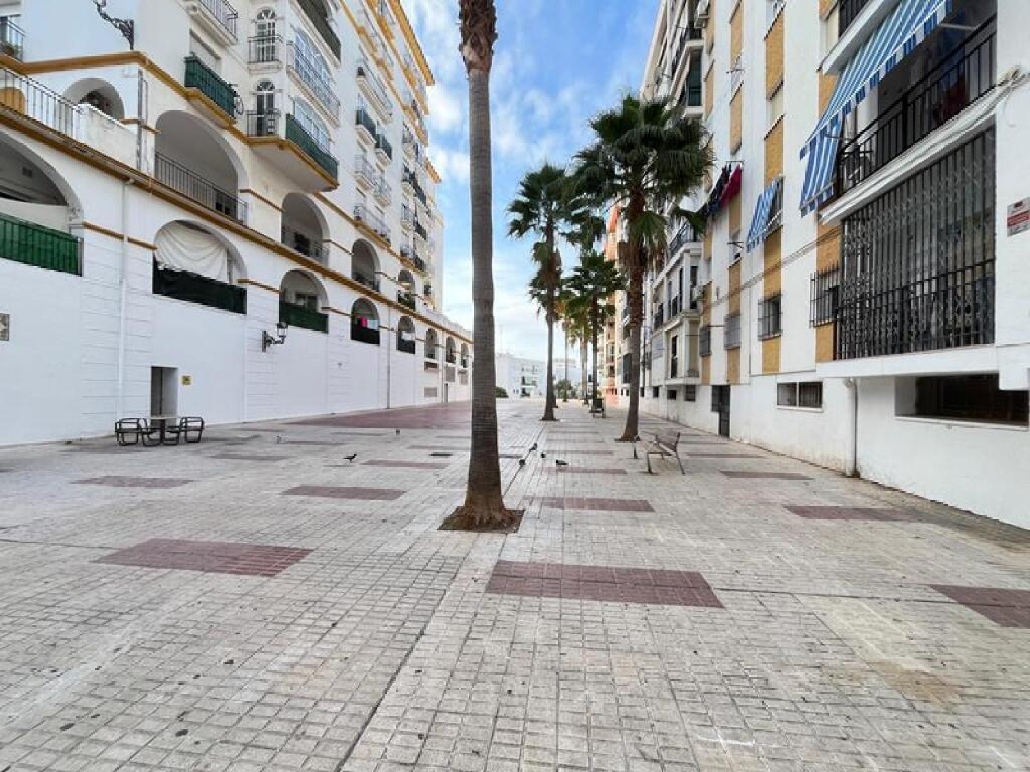 for sale commercial Estepona Costa Del Sol Occidental 3
