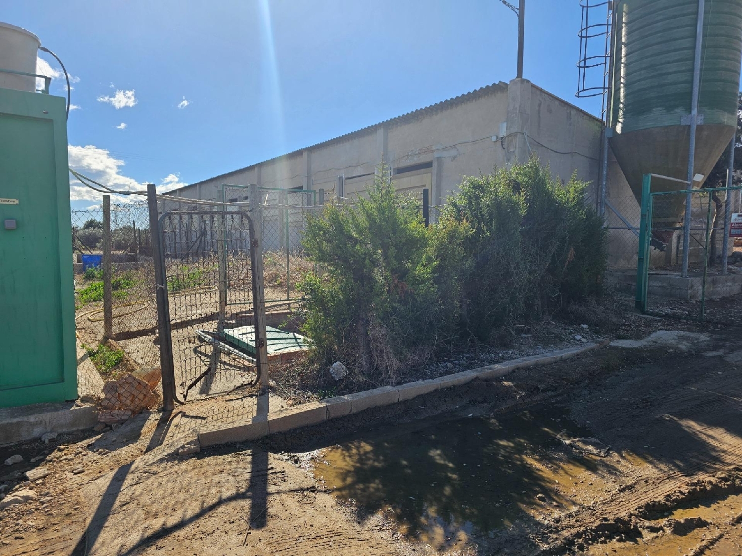  en venta local comercial Sant Carles De La Ràpita Montsià 3