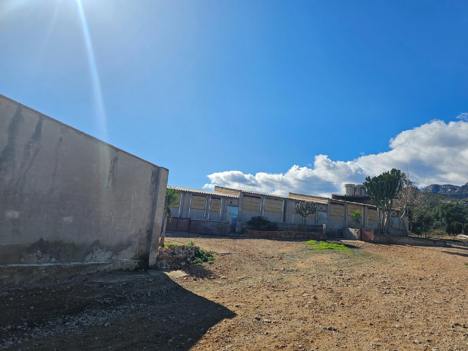  en venta local comercial Sant Carles De La Ràpita Montsià 5
