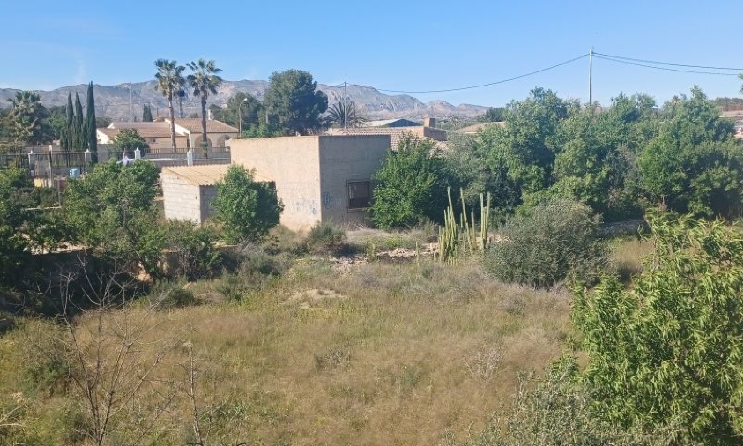 te koop boerderij Albatera Baix Segura 6