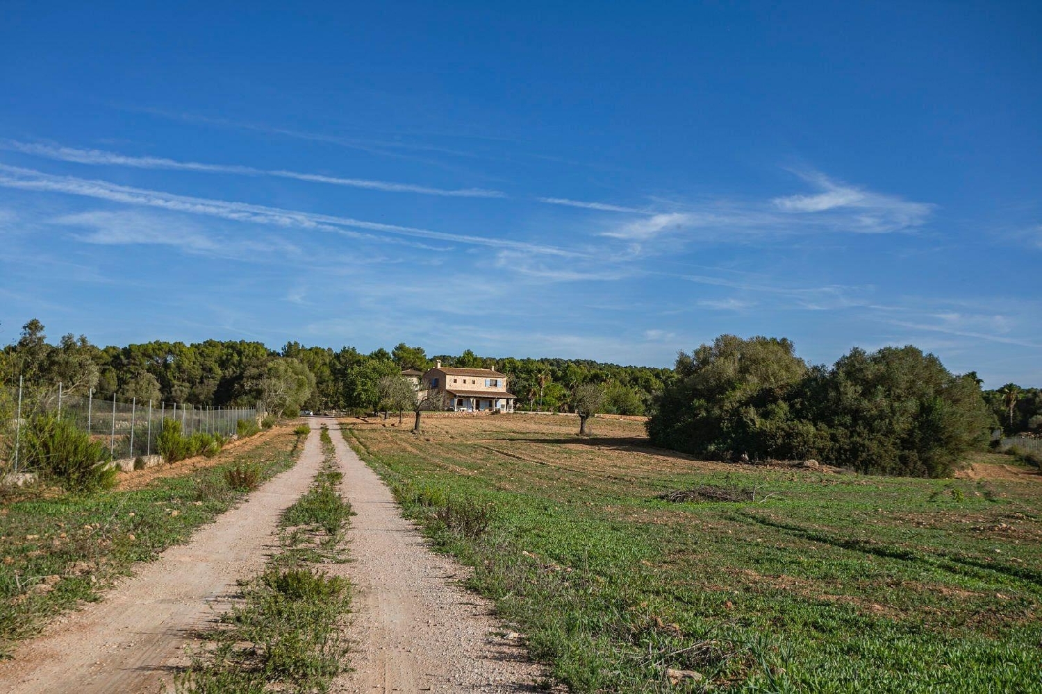  à vendre maison de campagne Algaida Pla (Es) 7