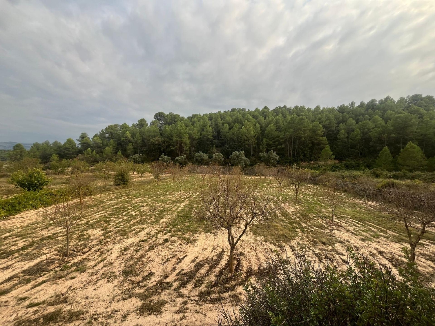  till salu hus på landet Arens De Lledó Matarraña 2