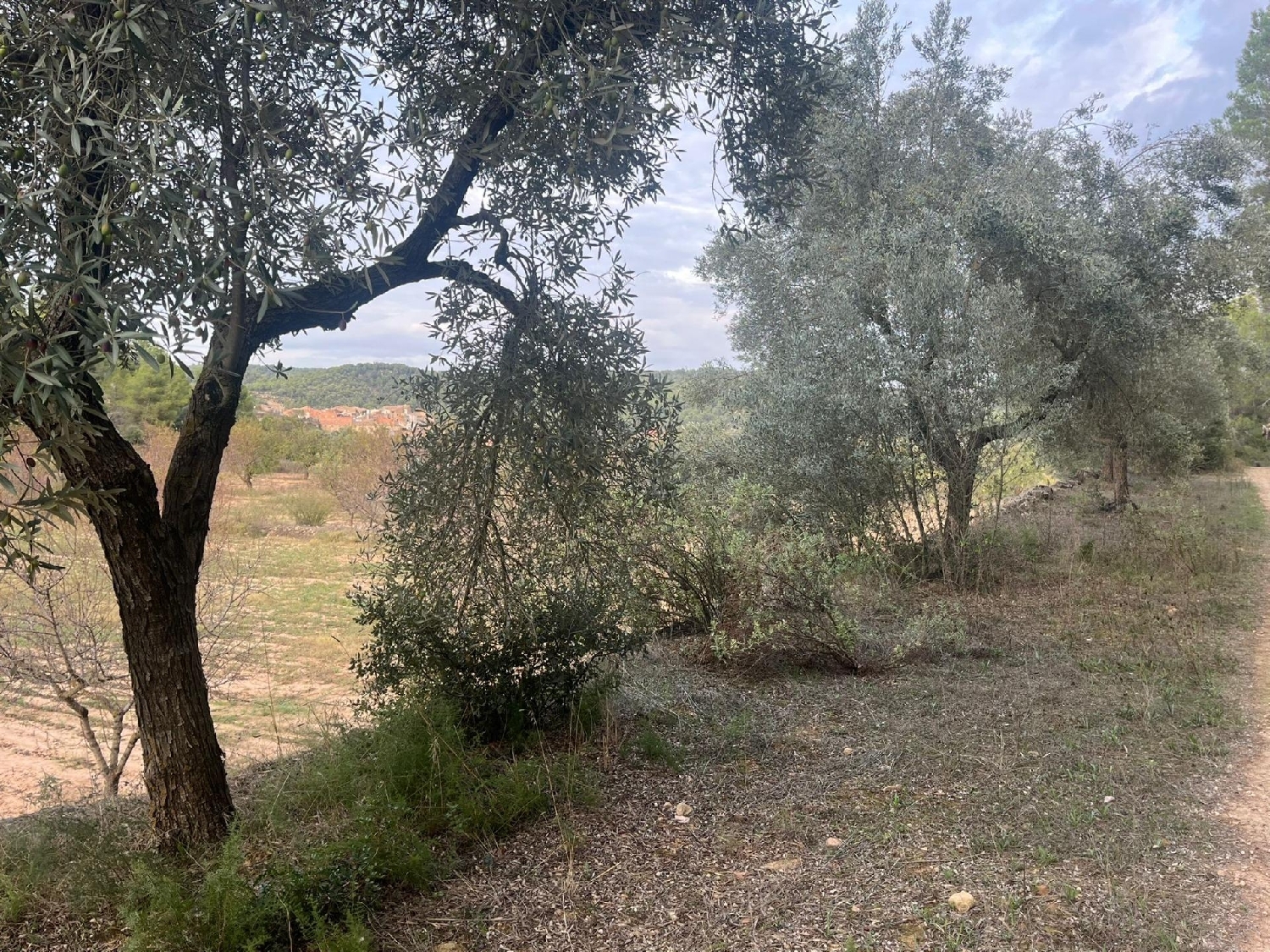  till salu hus på landet Arens De Lledó Matarraña 6