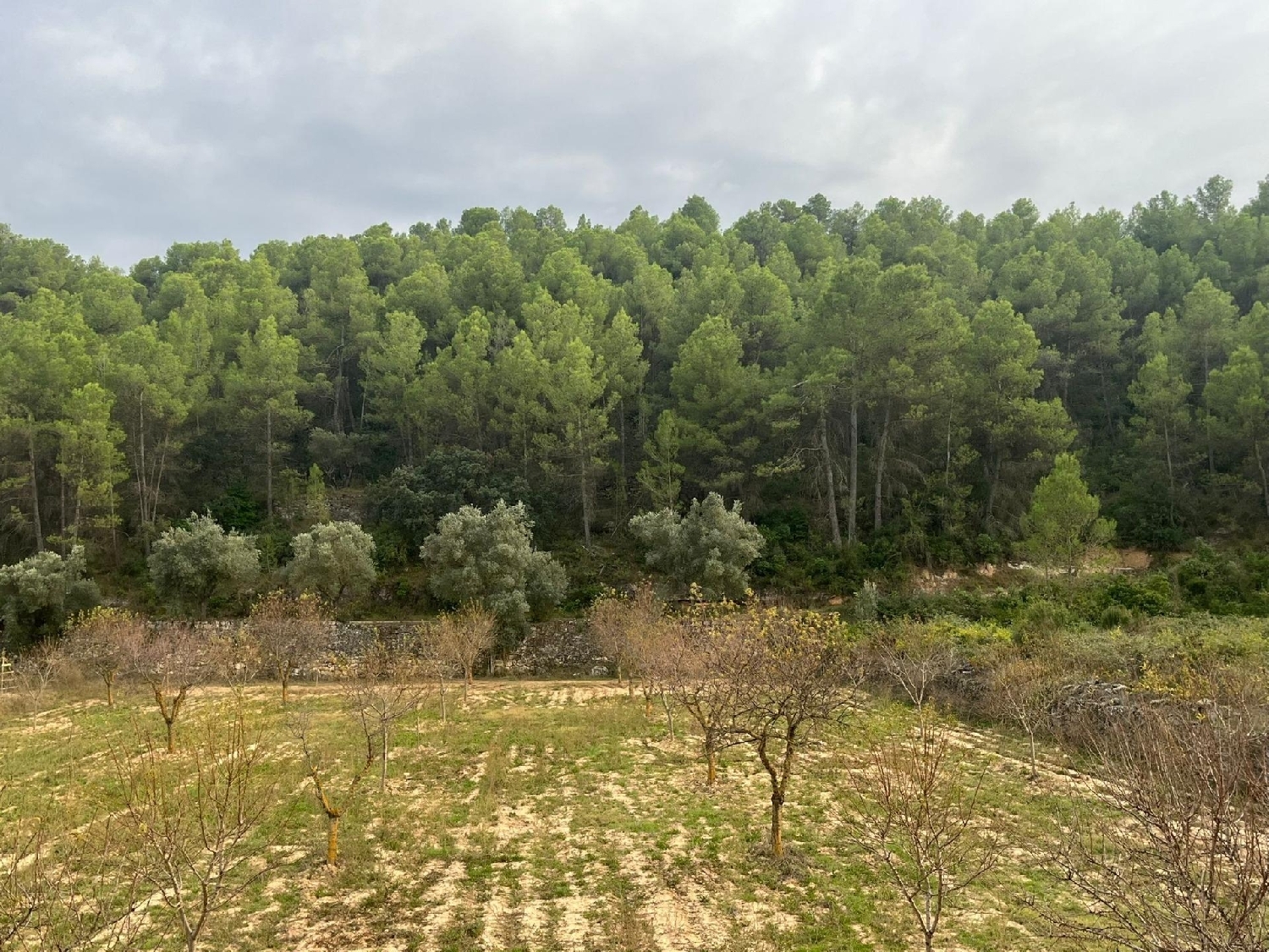  till salu hus på landet Arens De Lledó Matarraña 3