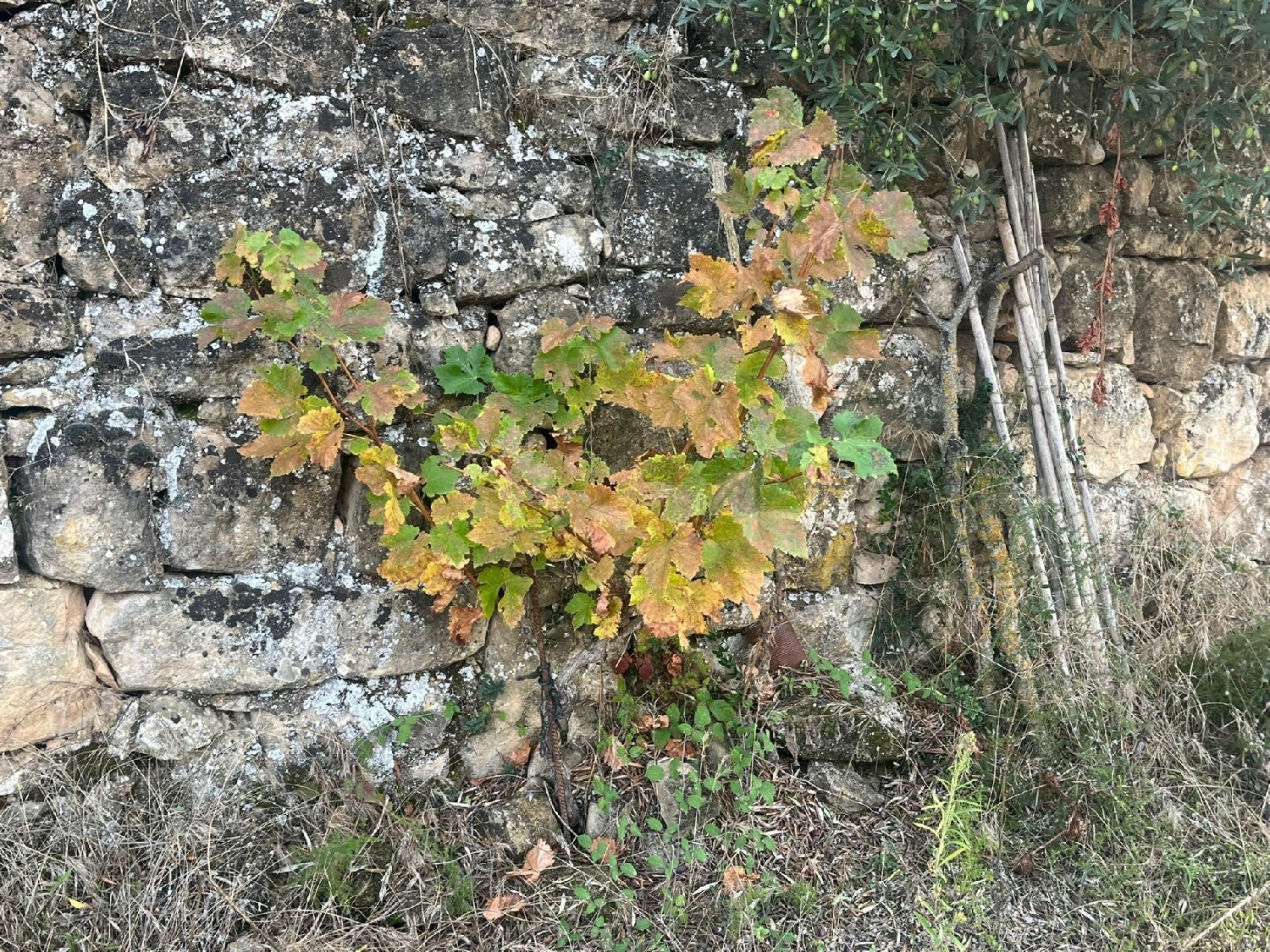 till salu hus på landet Arens De Lledó Matarraña 5