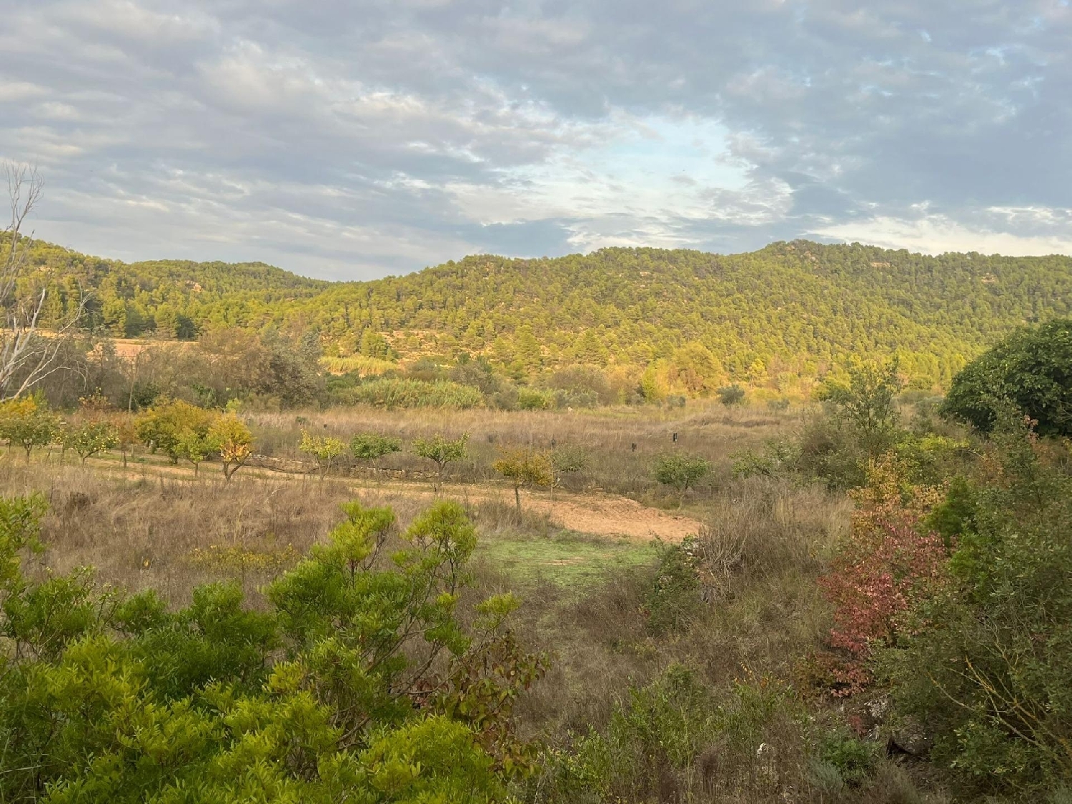 en venta finca rústica Arens De Lledó Matarraña 1