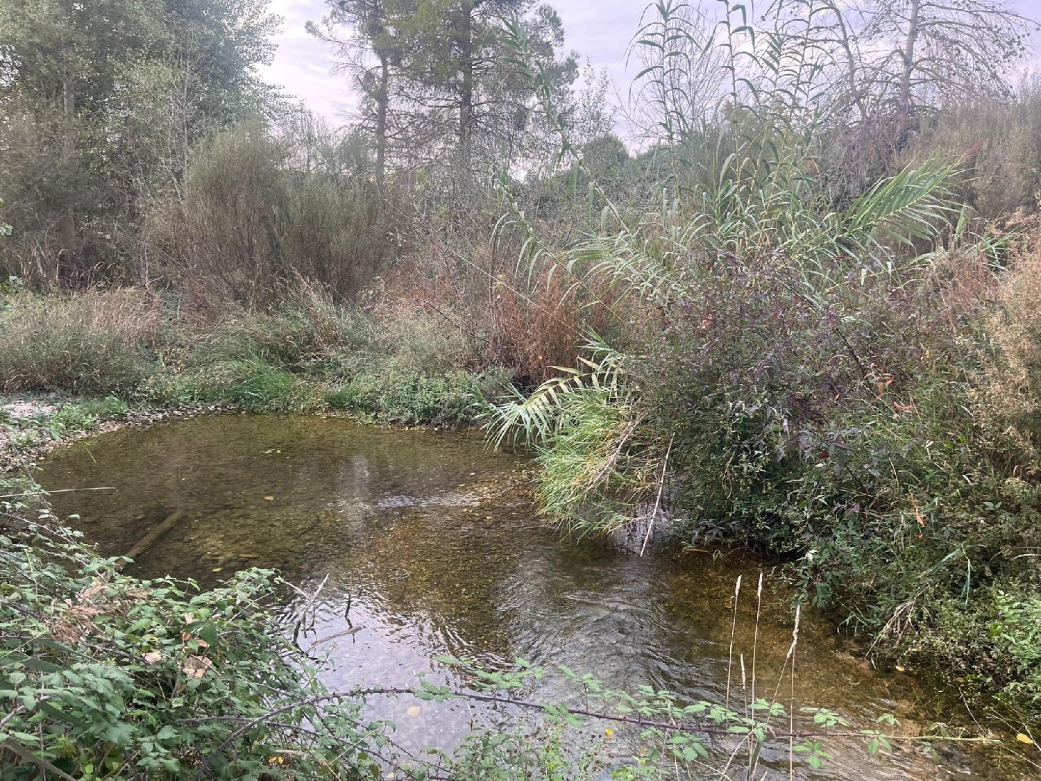 en venta finca rústica Arens De Lledó Matarraña 5