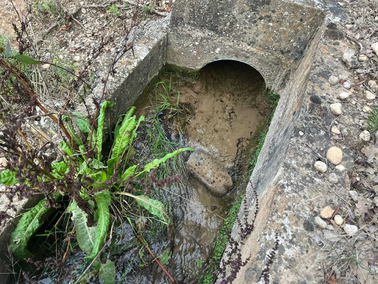 en venta finca rústica Arens De Lledó Matarraña 4