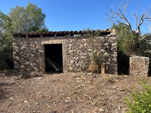 Ariany Pla (Es) Landhaus Bild 6311177