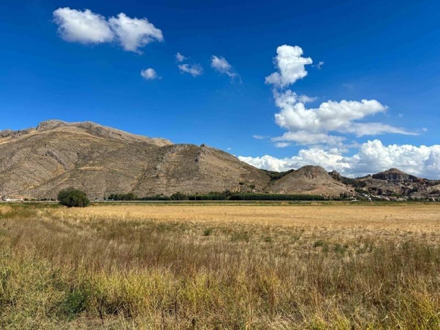  for sale country house Atarfe Vega De Granada 8