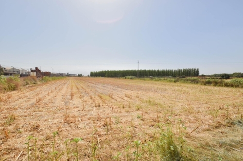 Atarfe Vega De Granada country house foto 6311120