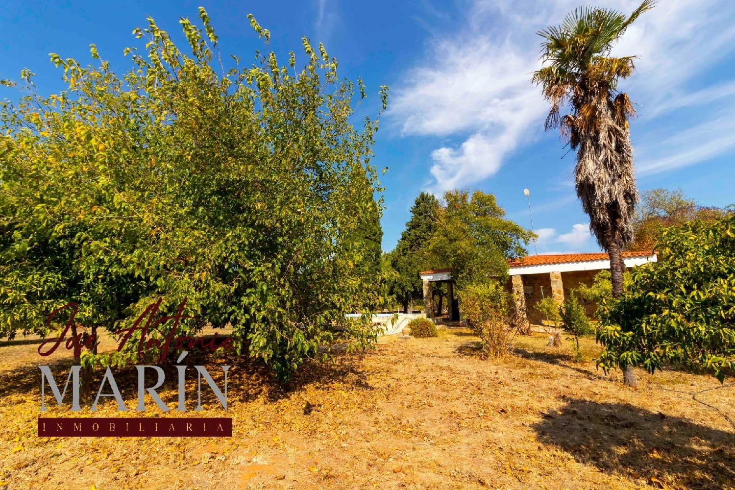  à vendre maison de campagne Badajoz Casco Antiguo-Centro Badajoz 8