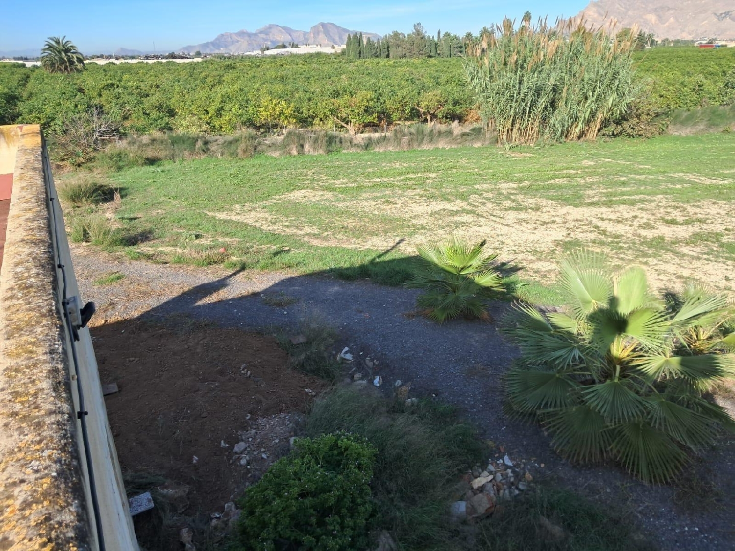 te koop boerderij Benejúzar Baix Segura 4