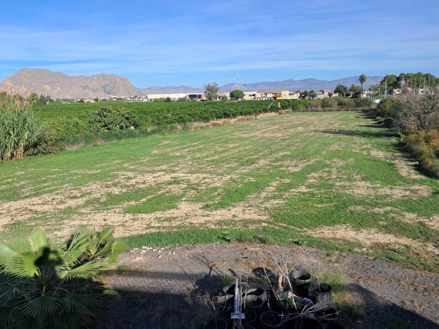 te koop boerderij Benejúzar Baix Segura 6